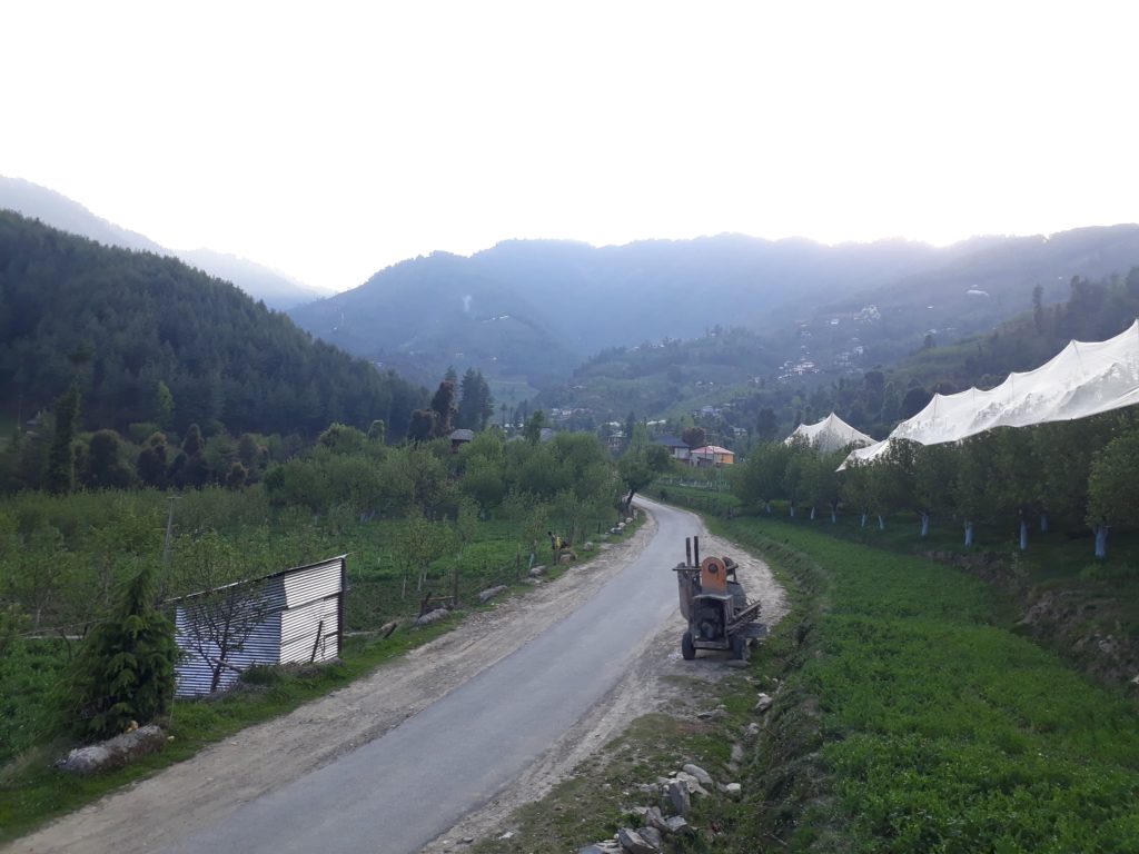 Way to Shikari Mata - Apple orchards on roadside