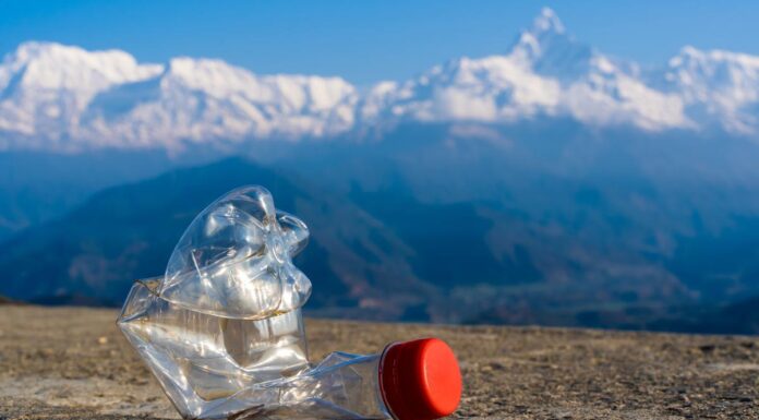 plastic bottle on hill stations