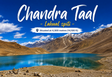 Chandra Taal